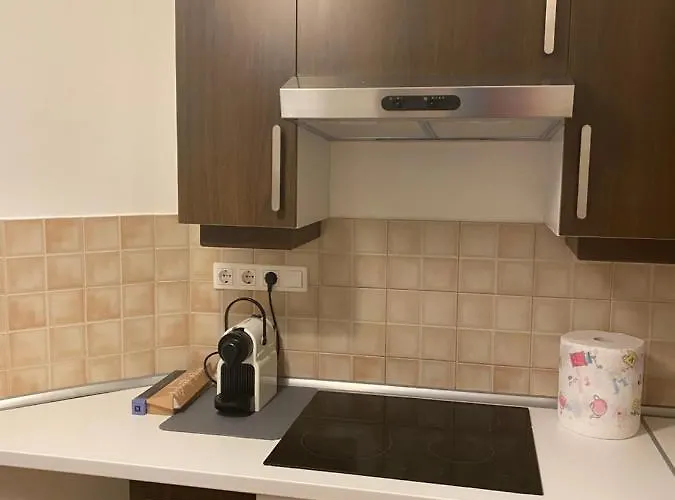 Blue Danube Downtown With Free Parking Apartment